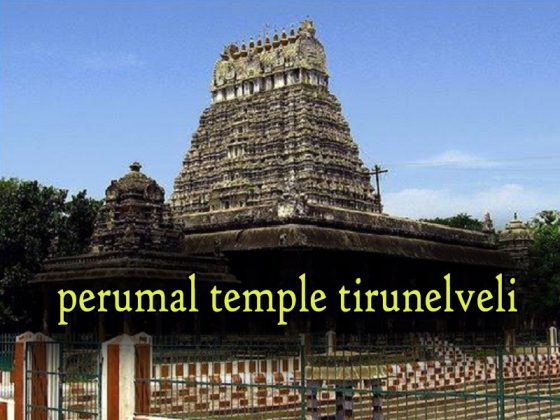 SRI VARADARAJA PERUMAL TEMPLE - KEEZHA THIRUPATHI - Hindu Temple Timings